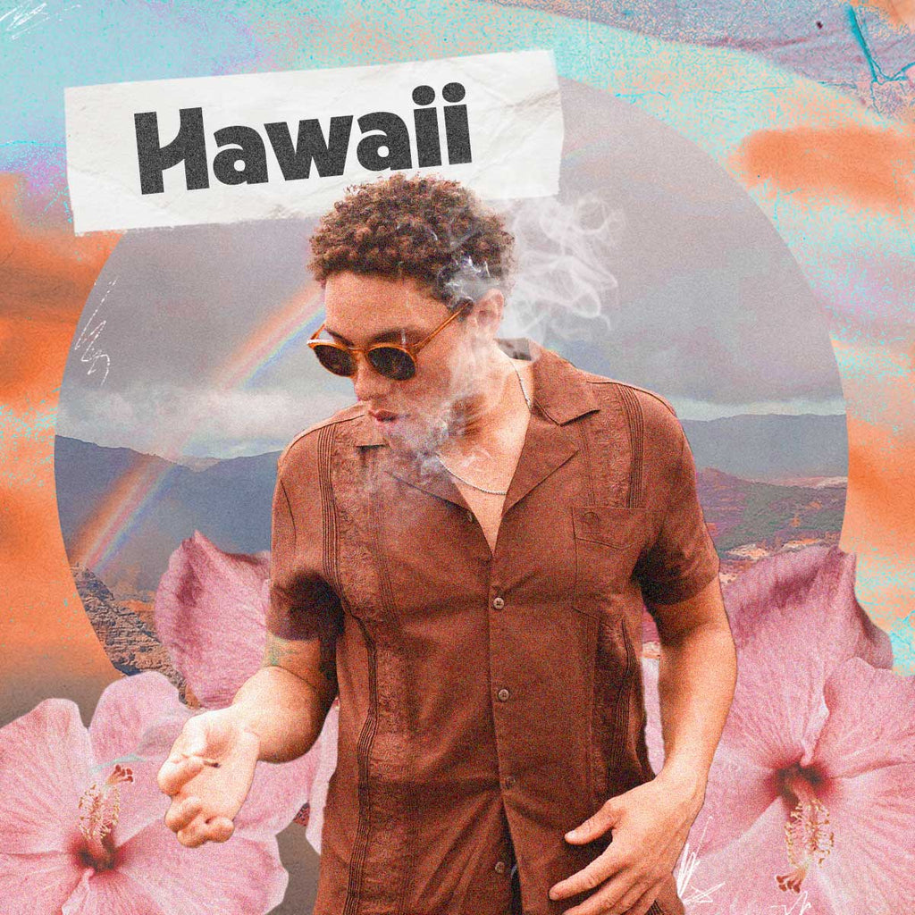 HAWAII ✿ MOBILE PRESET